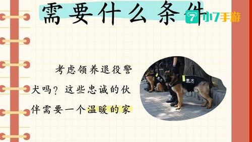 忠诚的伙伴