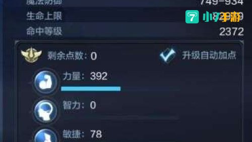 木瓜奇迹法师加点