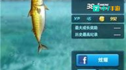 钓鱼发烧友攻略最新